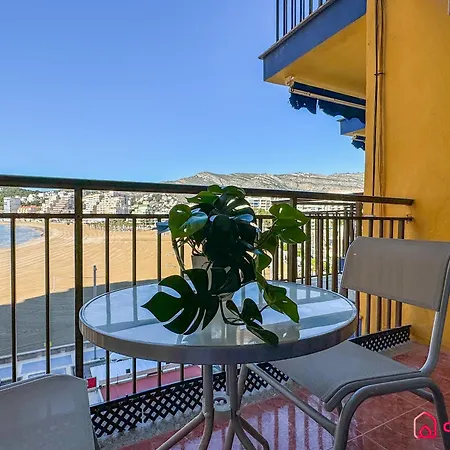 El Rincon De La Concha *