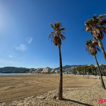 El Rincon De La Concha