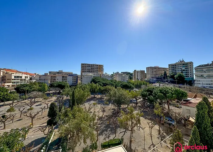 El Rincon De La Concha *