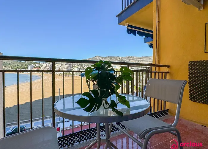 El Rincon De La Concha *