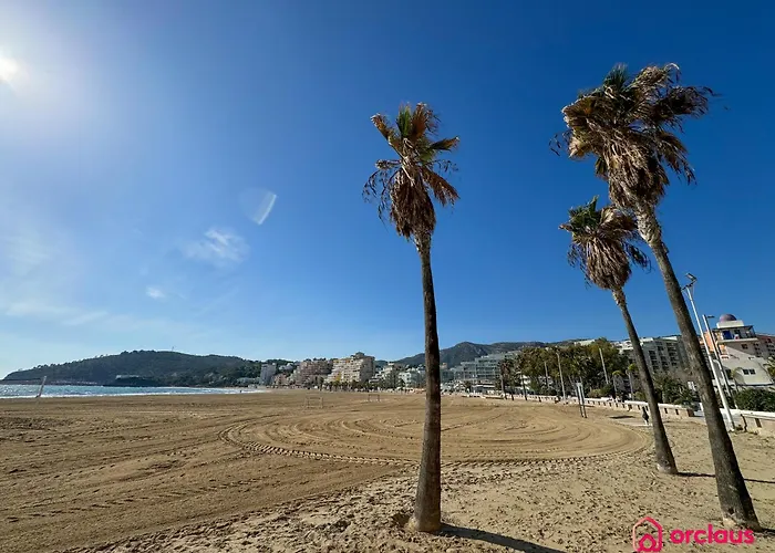 El Rincon De La Concha